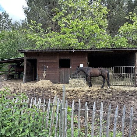 Propriete Entre Foret Et Ocean Βίλα Ares Εξωτερικό φωτογραφία