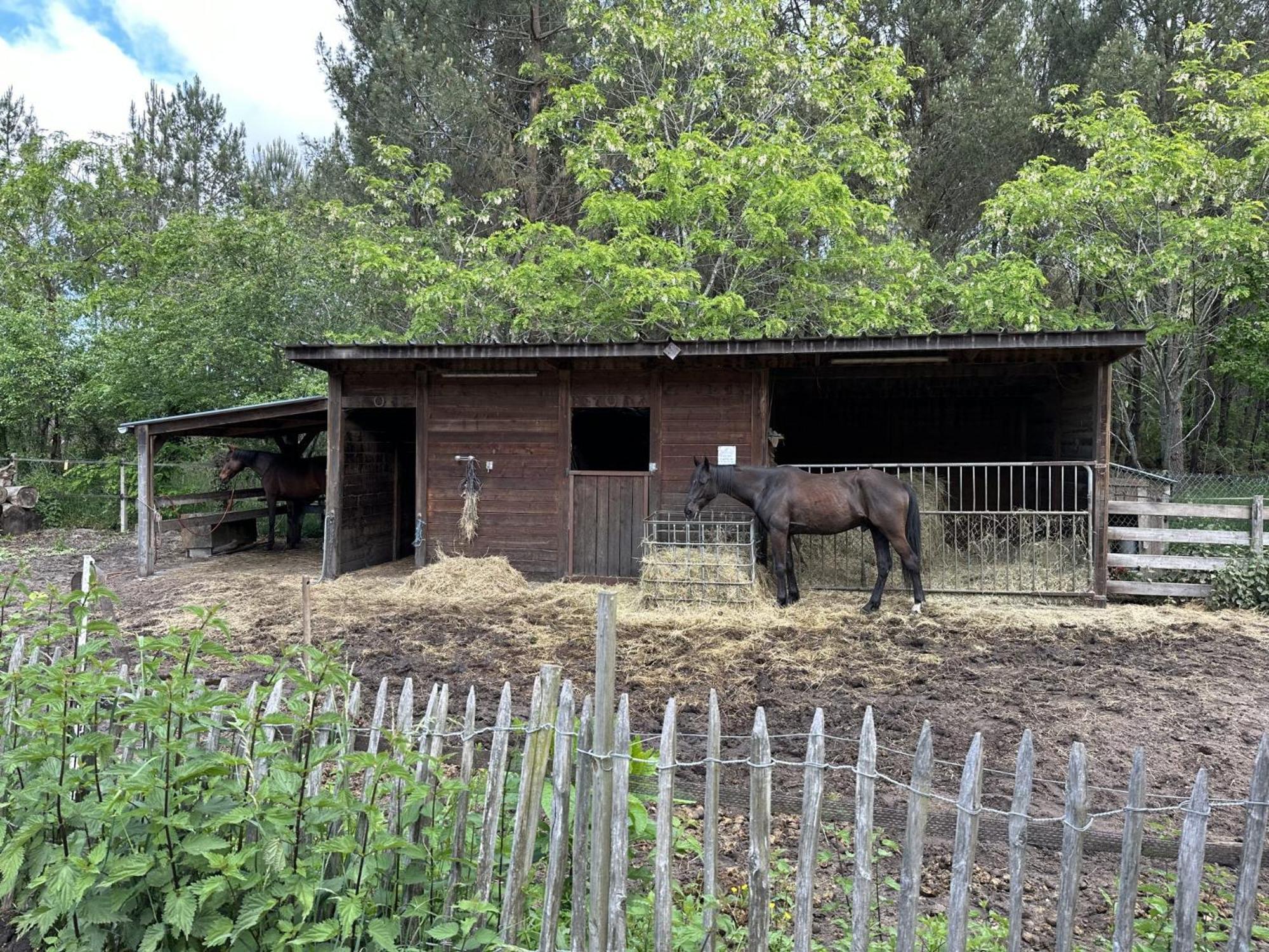 Propriete Entre Foret Et Ocean Βίλα Ares Εξωτερικό φωτογραφία